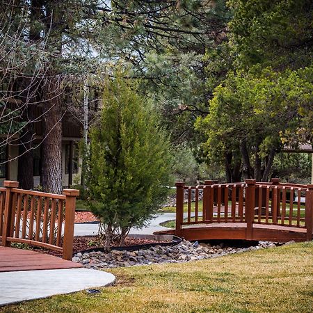 Ruidoso Downs Best Western Pine Springs Inn מראה חיצוני תמונה