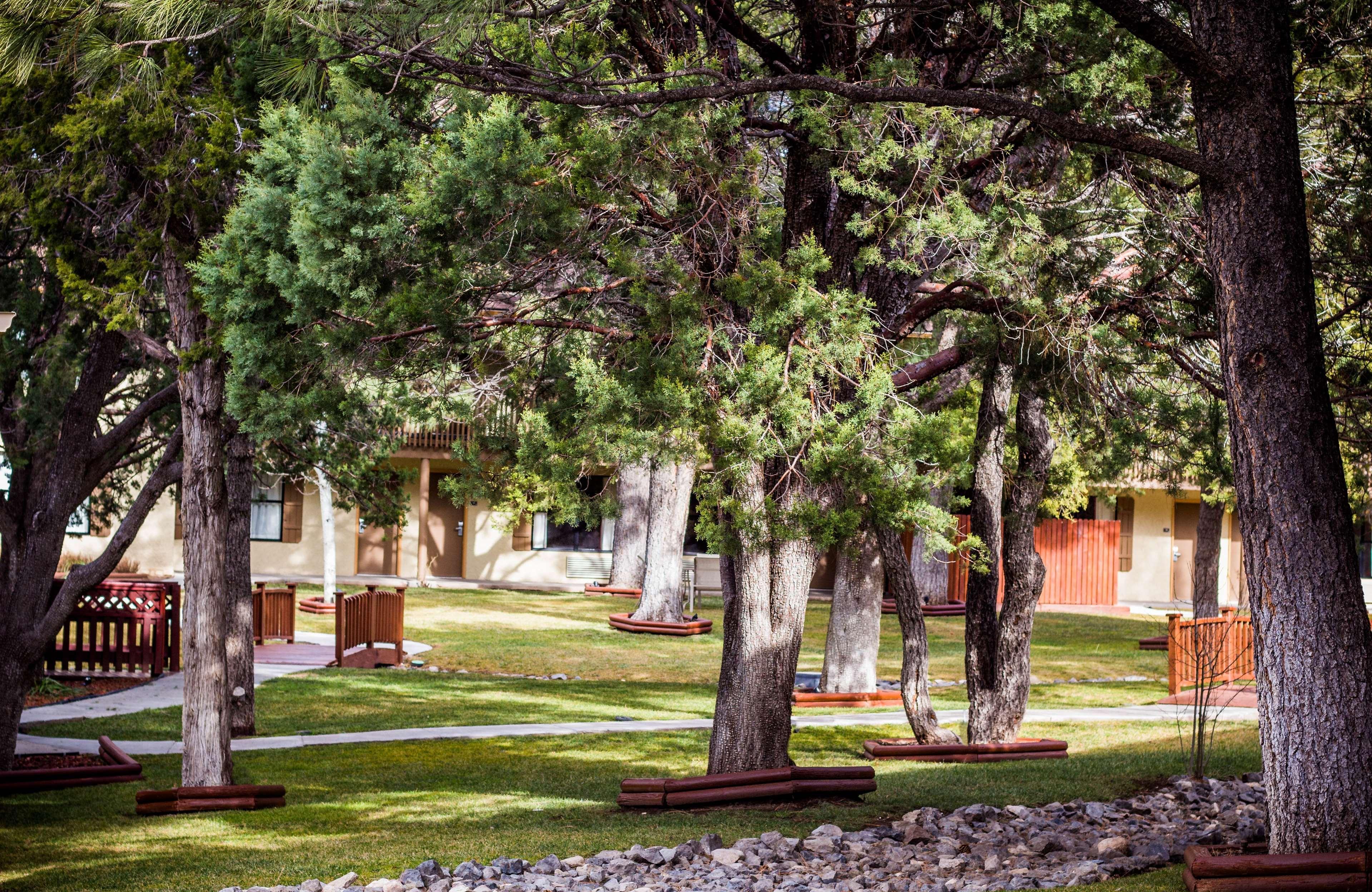 Ruidoso Downs Best Western Pine Springs Inn מראה חיצוני תמונה